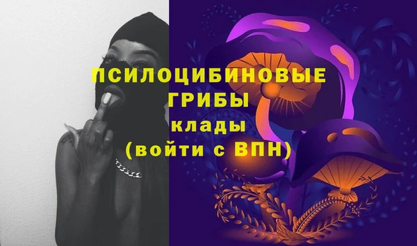 дурь Горнозаводск