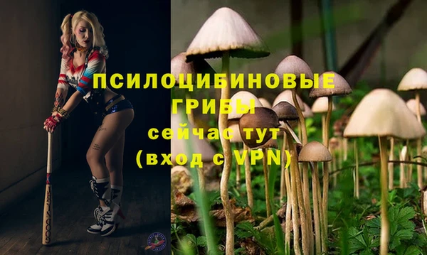кокаин Горно-Алтайск